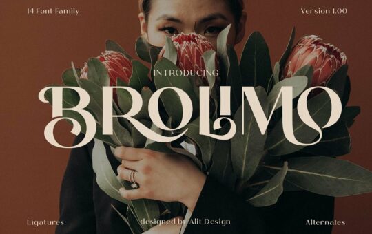 Brolimo-Font.jpg