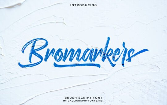 Bromarkers-Brush-Script-Font-1.jpg