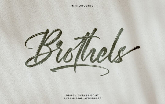 Brothels-Brush-Script-Font-1.jpg