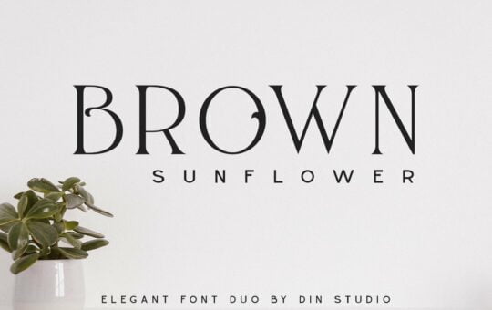 Brown-Sunflower-Serif-Font-1.jpg