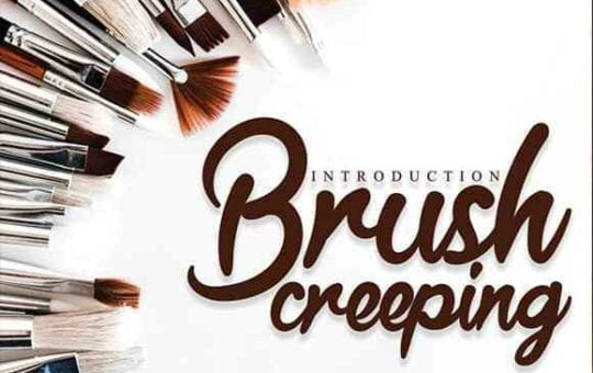 Brush-Creeping-Script-Font-1.jpg