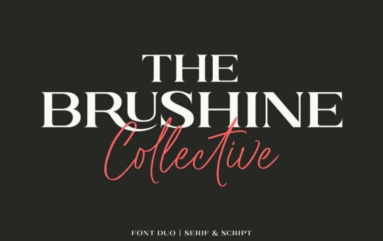 Brushine-Collective-Display-Font-Duo-1.jpg