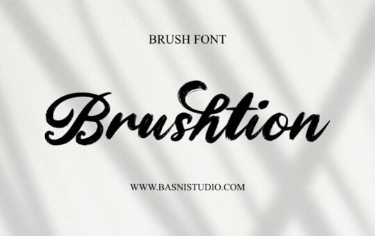 Brushtion-Modern-Brush-Font-1.jpg
