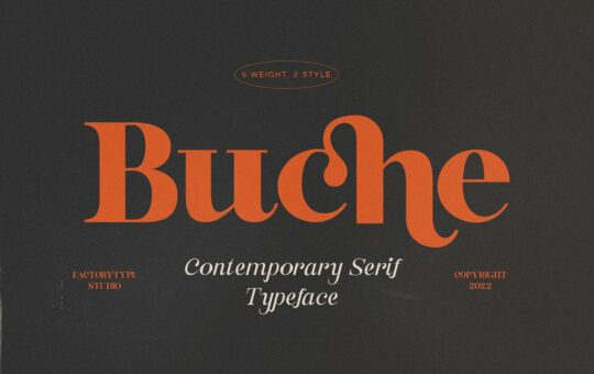 Buche-Modern-Serif-Font-1.jpg