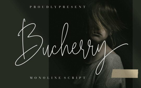 Bucherry-Font.jpg