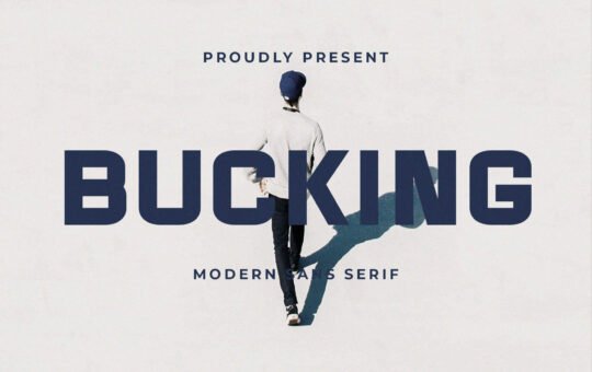 Bucking-Sans-Serif-Font-1.jpg