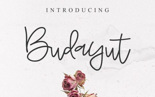 Budayut-Signature-Font.jpg
