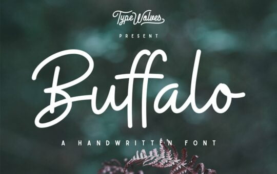 Buffalo-Handwritten-Font-1.jpg