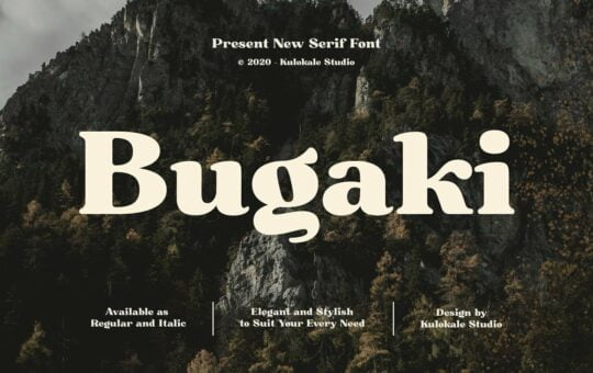 Bugaki-Elegant-Serif-Font-1.jpg