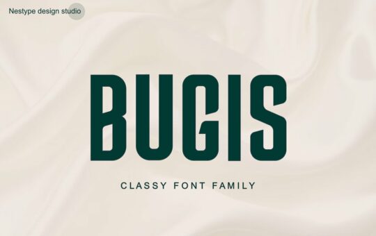 Bugis-Font.jpg