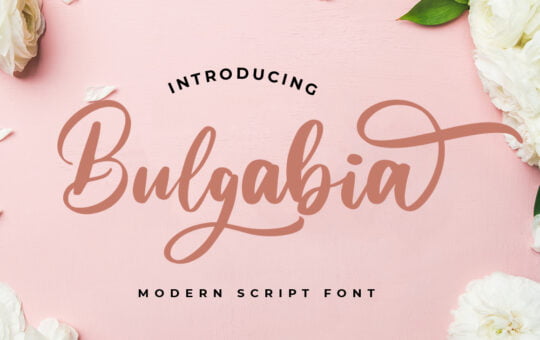 Bulgabia-Modern-Script-Font-1.jpg