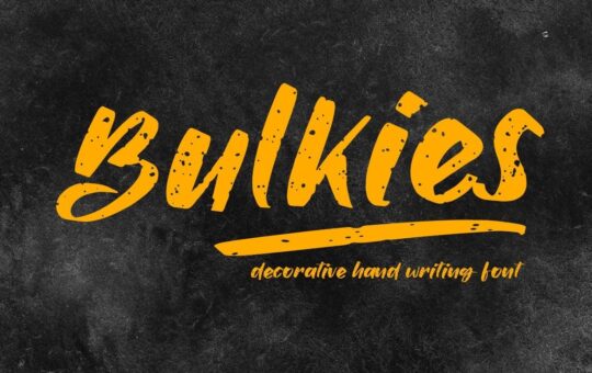 Bulkies-Regular-Script-Font-1-1.jpg