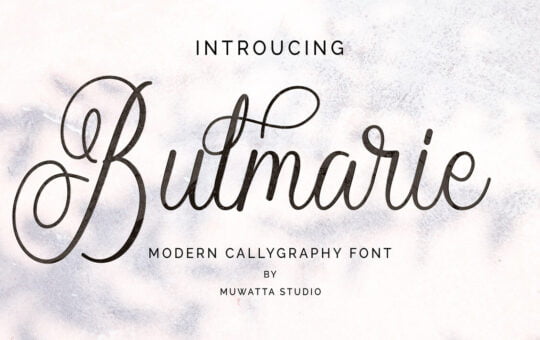Bulmarie-Calligraphy-Font-1.jpg