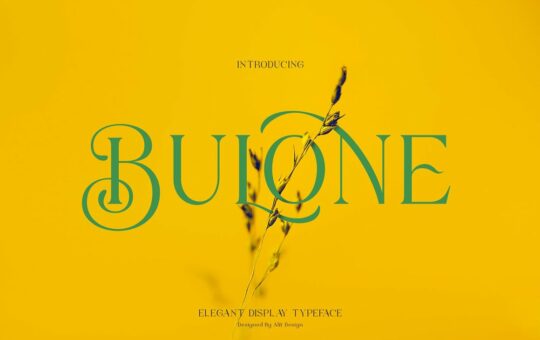 Bulone-Serif-Elegant-typeface-1.jpg