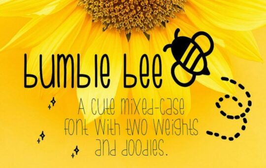 Bumblebee-Thin-Script-Font.jpg