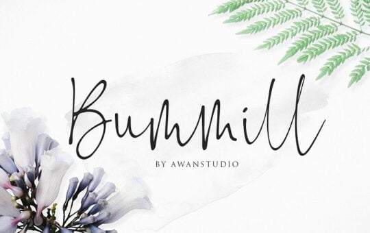 Bummill-Signature-Font.jpg