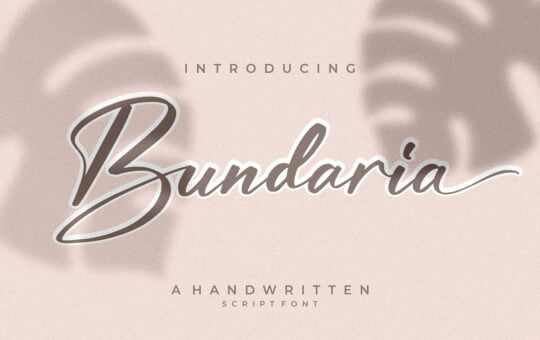 Bundaria-Handwritten-Script-Font-1.jpg