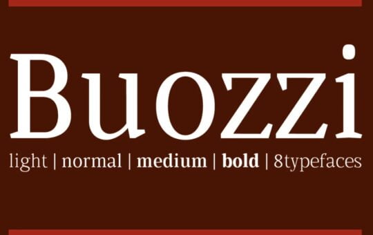 Buozzi-Bold-Serif-Font-1.jpg