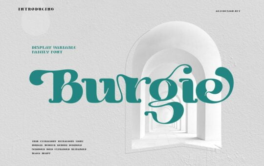 Burgie-Font.jpg