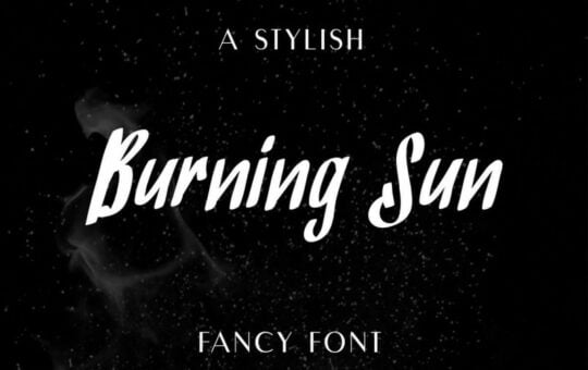 BurningSun-Marker-Script-Font.jpg