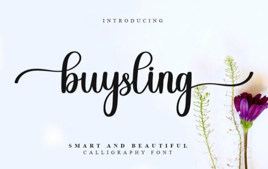 Buysling-Font.jpg