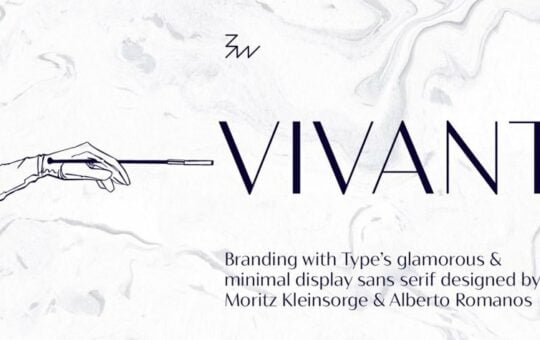 Bw-Vivant-Font-Family-800x475.jpg