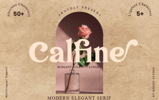 Calfine-Fonts-17369833-580x386-1.jpg