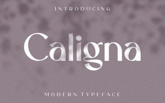 Caligna-Modern-Sans-Serif-Typeface-1.jpg