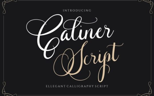 Caliner-Script-Calligraphy-Font-1.jpg