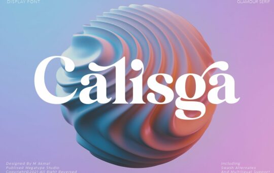 Calisga-Modern-Serif-Font-1.jpg