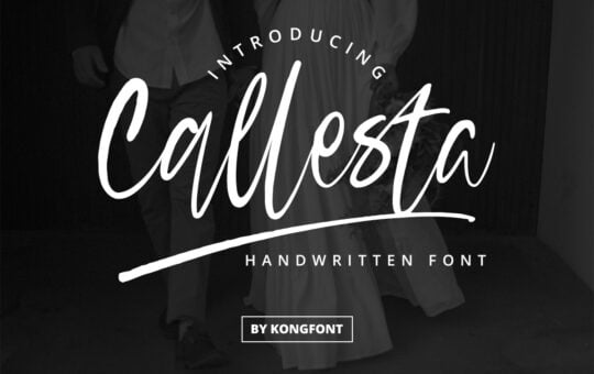 Callesta-Handwritten-Font-1.jpg