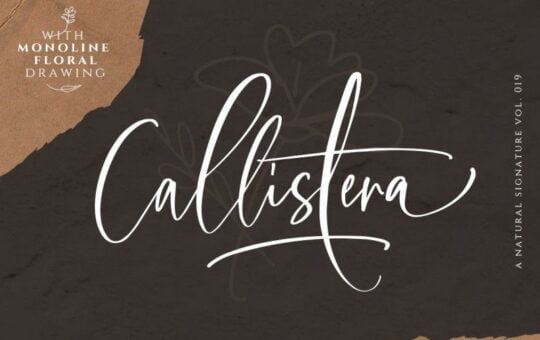 Callistera-Script-Font.jpg