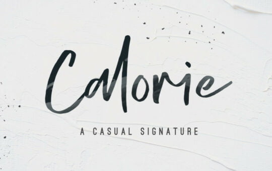 Calorie-Script-Font.jpg