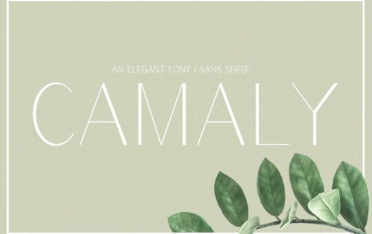 Camaly-Sans-Serif-Font-1.jpg