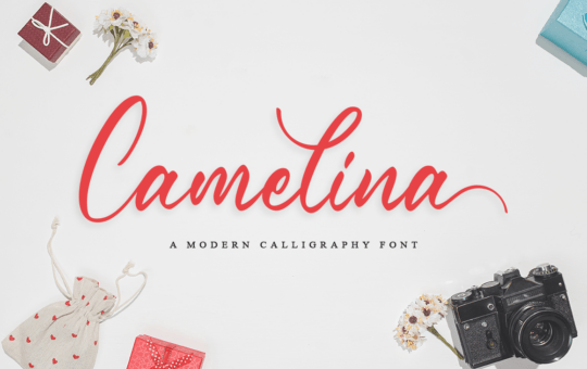 Camelina-Handwritten-Font-1.png