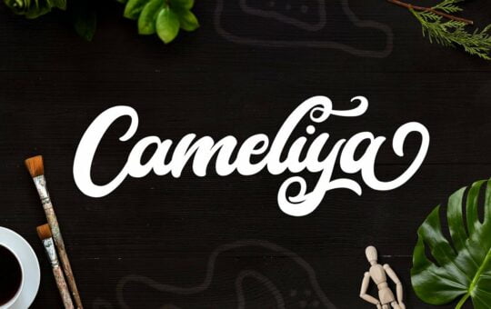 Cameliya-Bold-Calligraphy-Script-Font-1.jpg