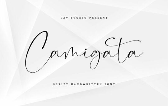 Camigata-Handwritten-Signature-Font.jpg