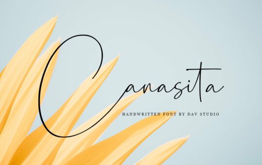 Canasita-Handwritten-Script-Font-1.jpg