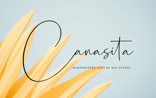 Canasita-Signature-Handwritten-Font-1.jpg