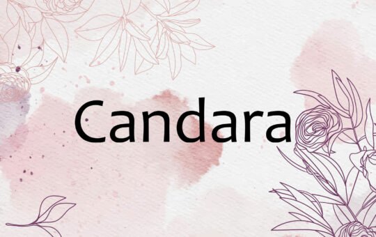 Candara-Sans-Serif-Typeface-1.jpg