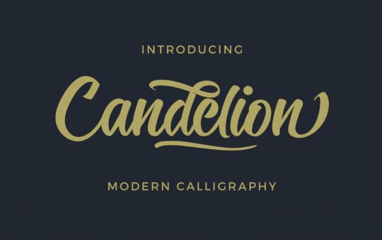 Candelion-Script-Font-06-1600x1067-1.jpg