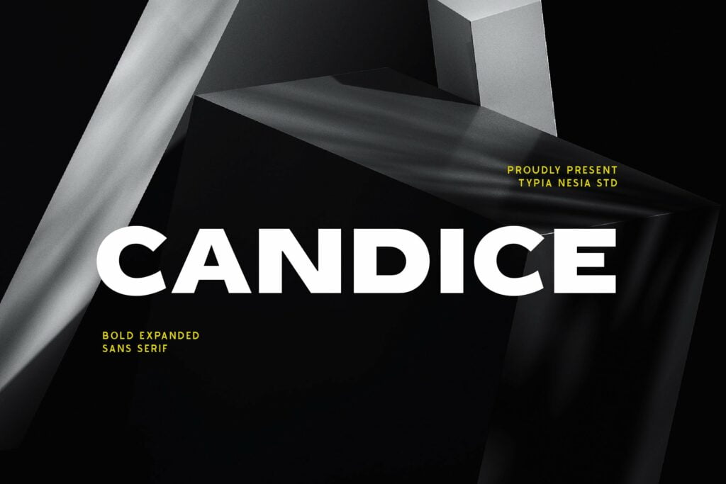 Candice-Bold-Sans-Serif-Font-1.jpg