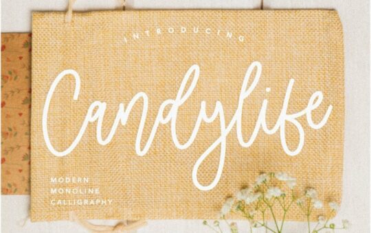 Candylife-Handwritten-Script-Font-1.jpg
