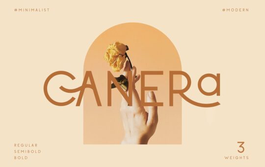 Canera-Sans-Serif-Font.jpg