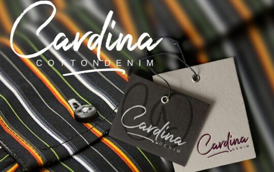 Cardina-Script-Font-1.jpg