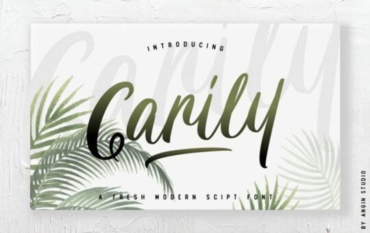 Carily-Script-Font.jpg