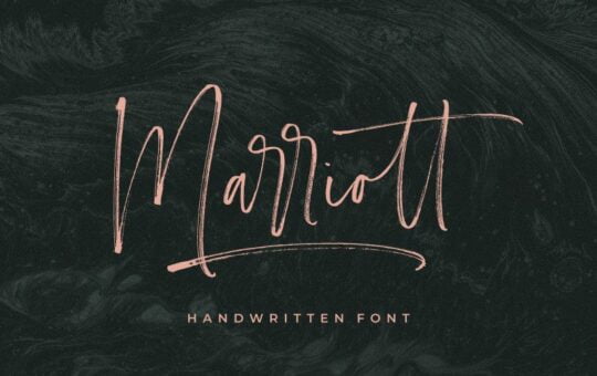 Carlinet-Handwritten-Font-1.jpg