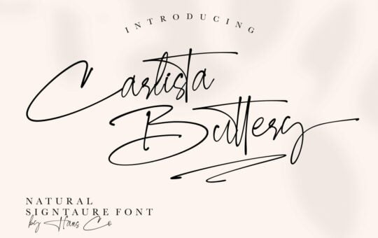 Carlista-Buttery-Script-Handwritten-Font-1.jpg