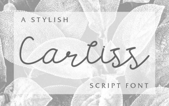Carllis-Script-Font.jpg