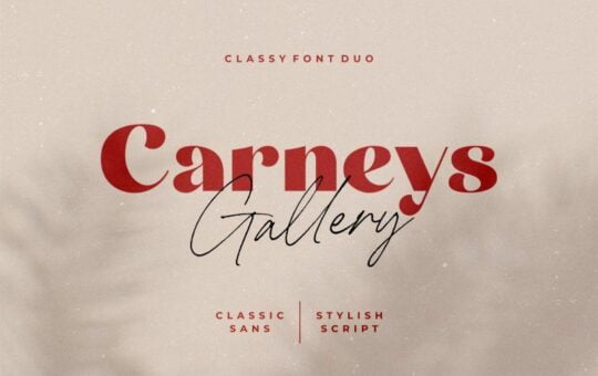 Carneys-Gallery-Font-Duo.jpg